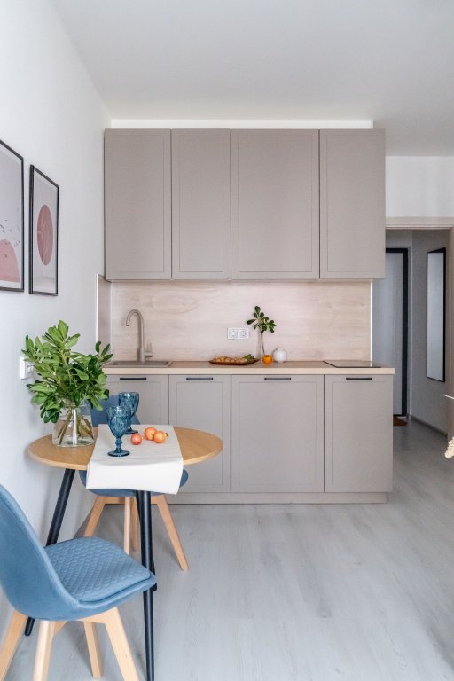 Санкт-Петербург: Апартаменты LERUKA HOME Гранат