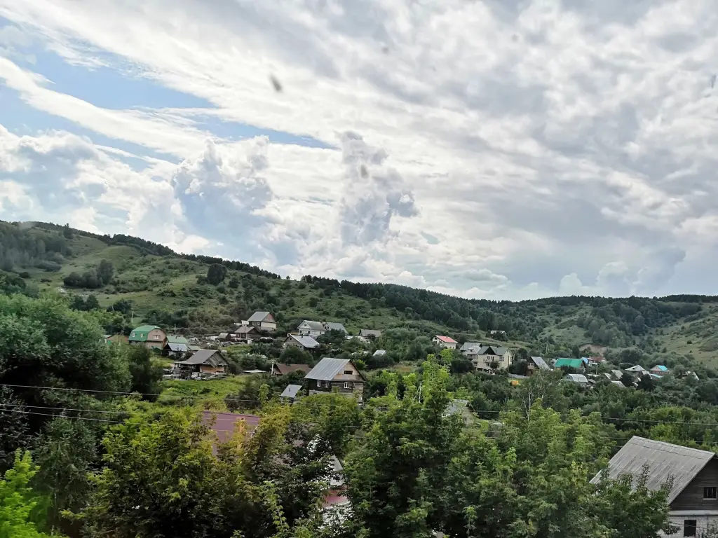 Белокуриха: Улей