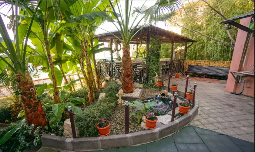 Сочи: Rusalochka Guest House