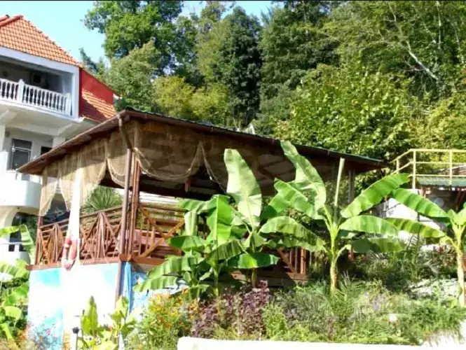 Сочи: Rusalochka Guest House