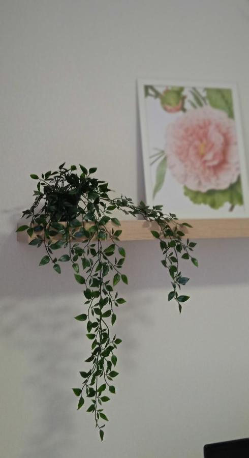 Калуга: Apartment Lesnoy