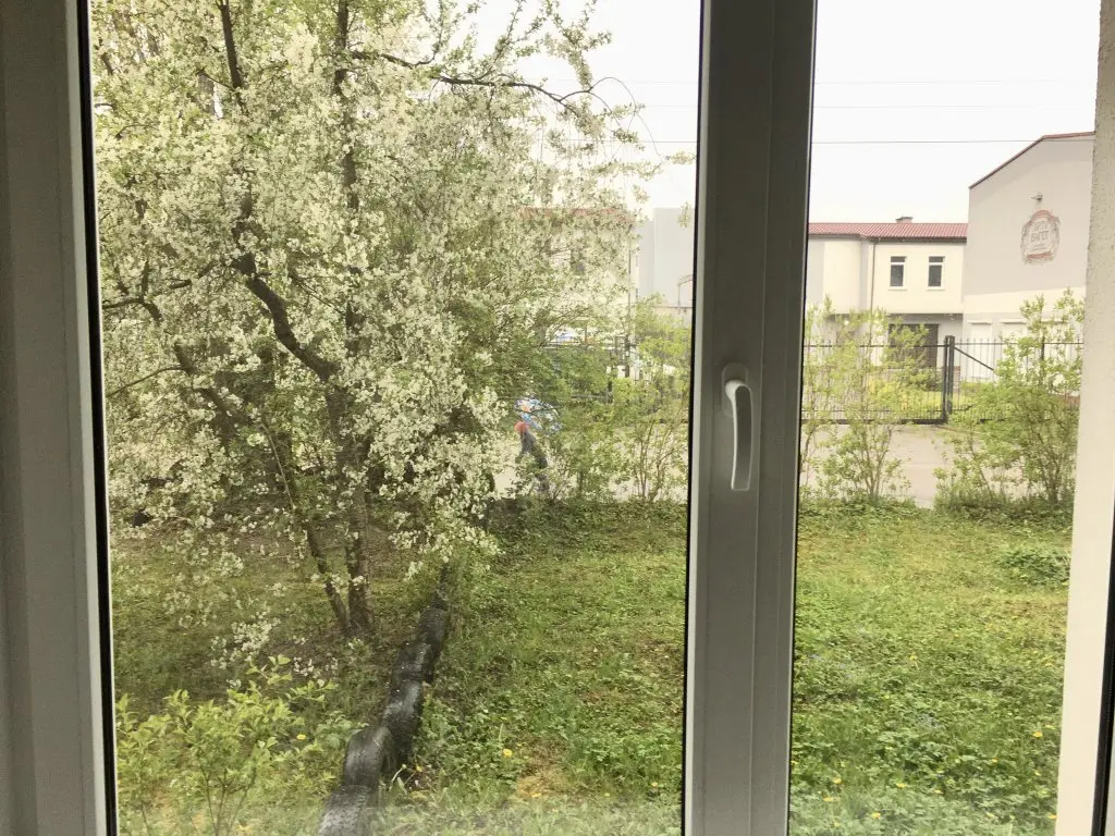 Калининград: Квартира 2-х комнатная Amber apartment