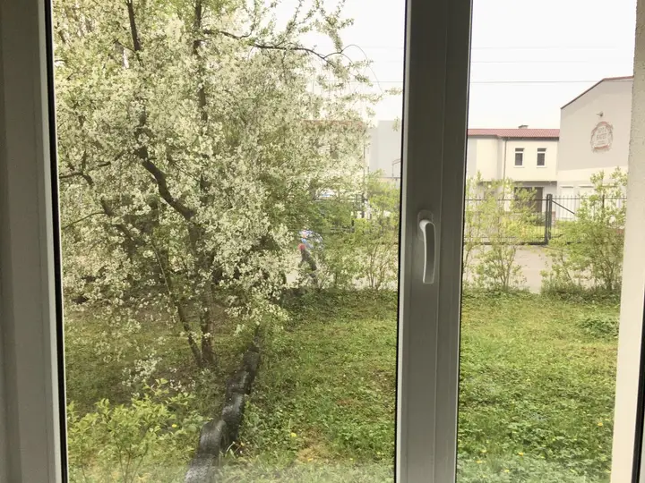 Калининград: Квартира 2-х комнатная Amber apartment