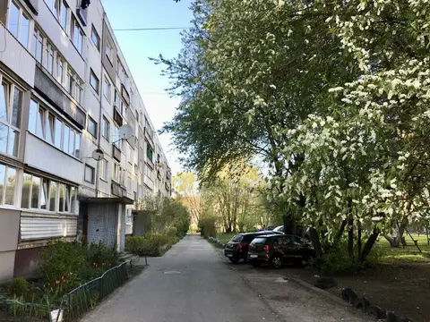 Квартира 2-х комнатная Amber apartment — фото 1