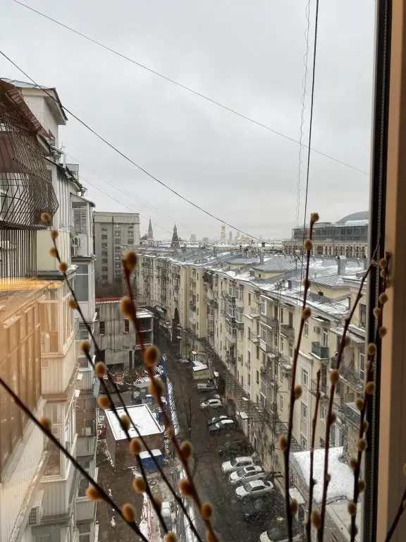 Москва: Апартаменты Уютные в Каменногорском Переулке 2