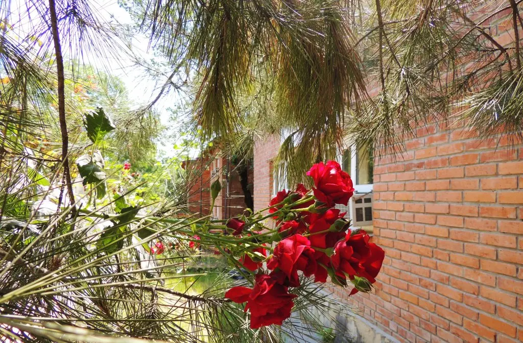 Геленджик: Divnoe Hotel