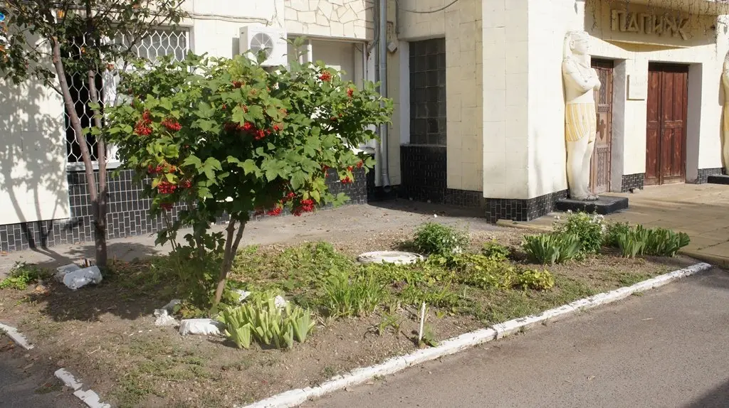 Гостиница Папирус — фото 1