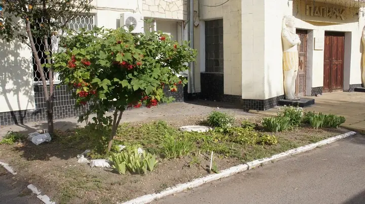 Волгодонск: Гостиница Папирус