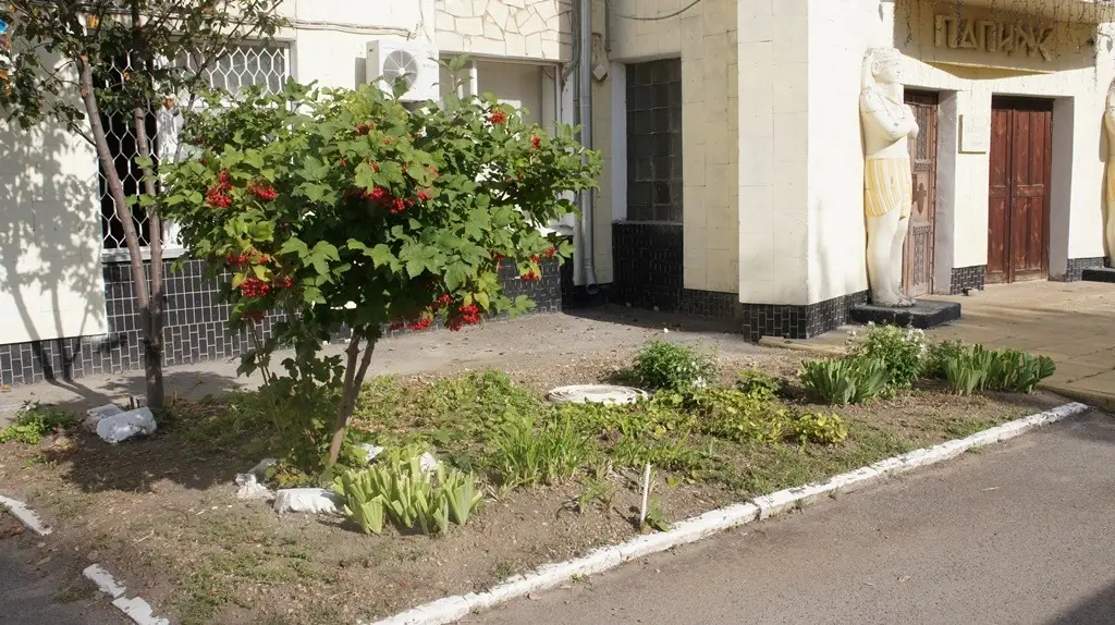 Гостиница Папирус — фото 1