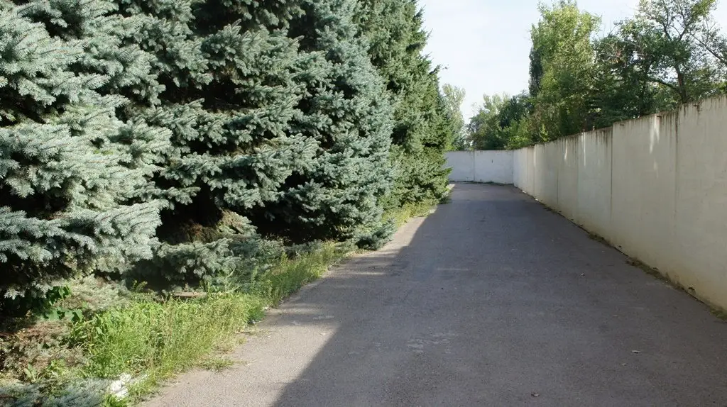 Волгодонск: Гостиница Папирус