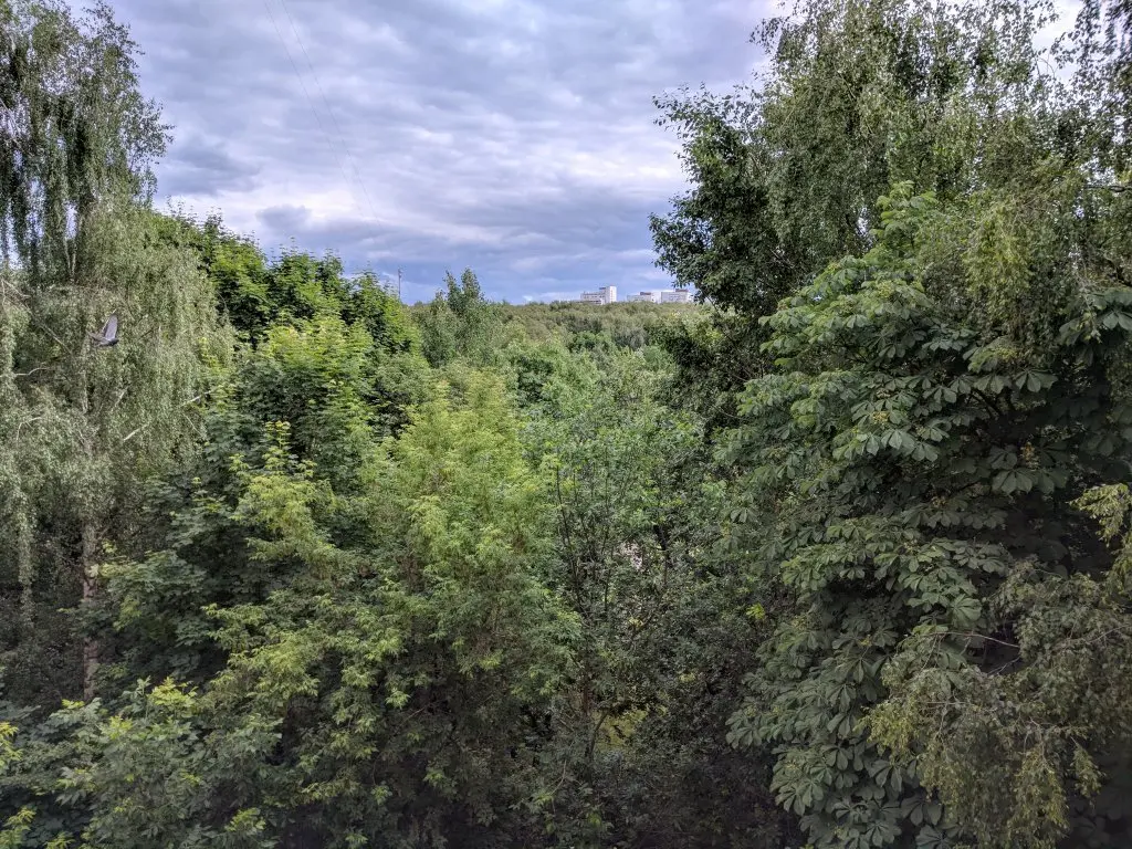 Москва: South-West Forest Apartments