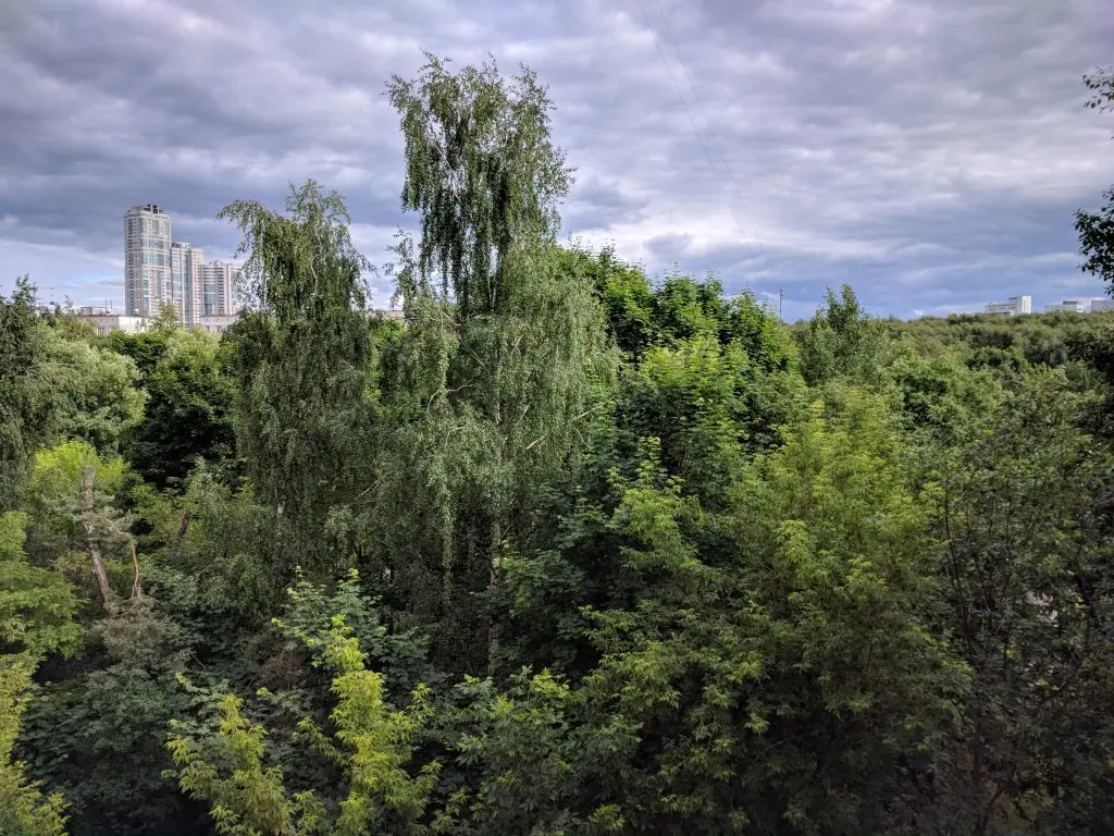 Москва: South-West Forest Apartments