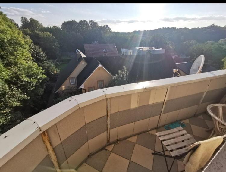 Светлогорск: Apartment Olkhovy 2
