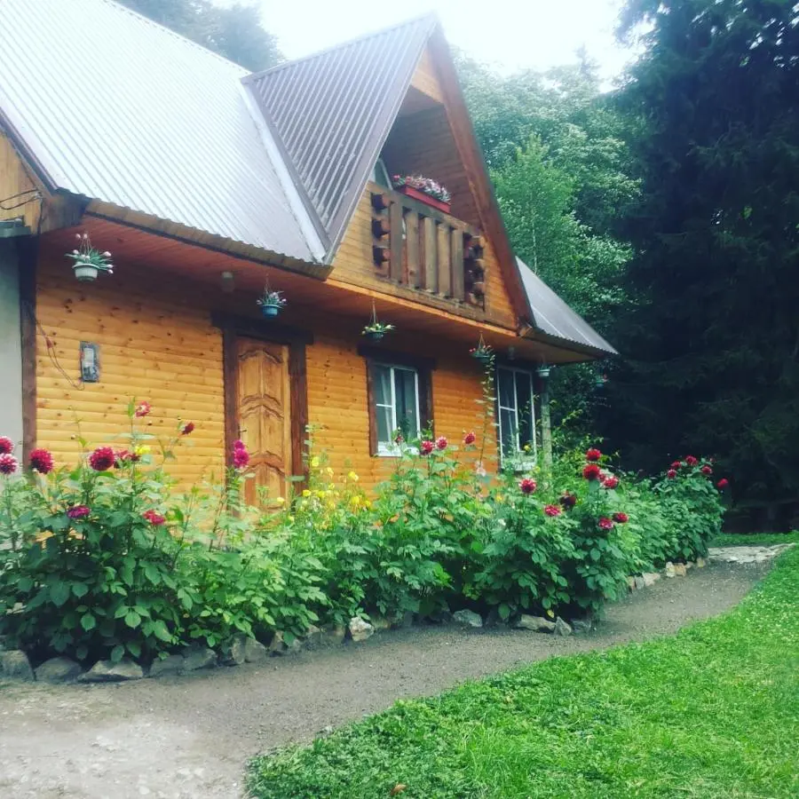Домбай: Лодж