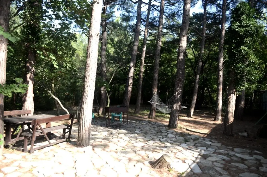 Геленджик: Asiat