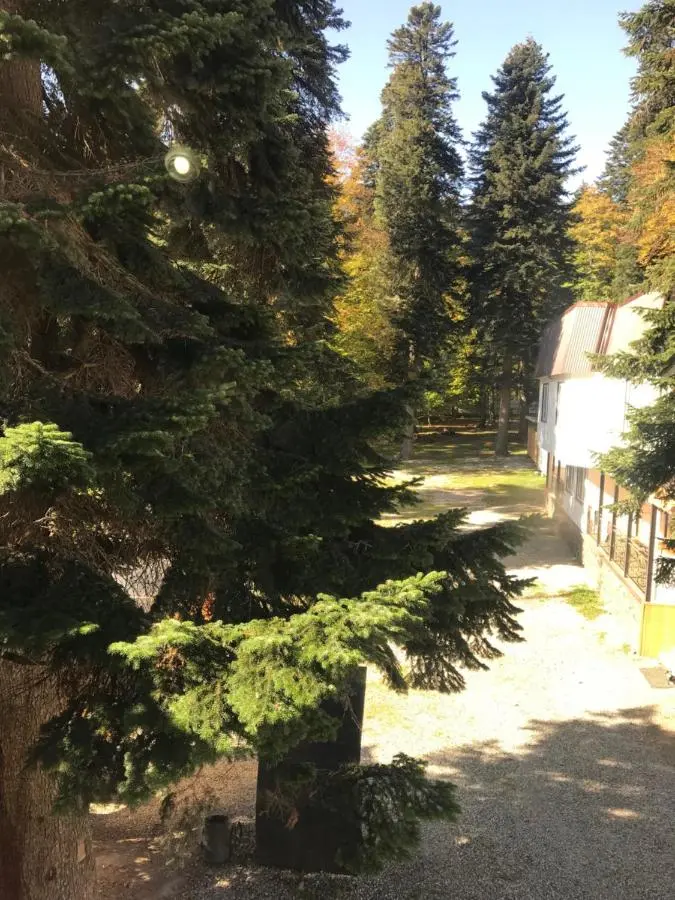 Архыз: Guest House Turist