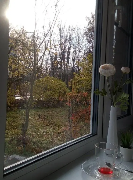 Пушкин: Квартира Soul Home