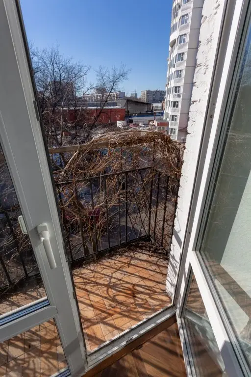 Москва: Апартаменты с французким балконом