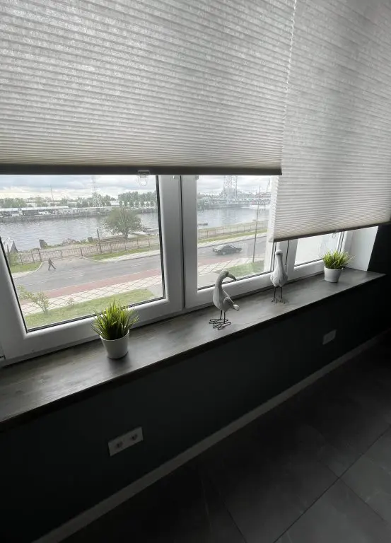 Калининград: Апартаменты Wonder Loft