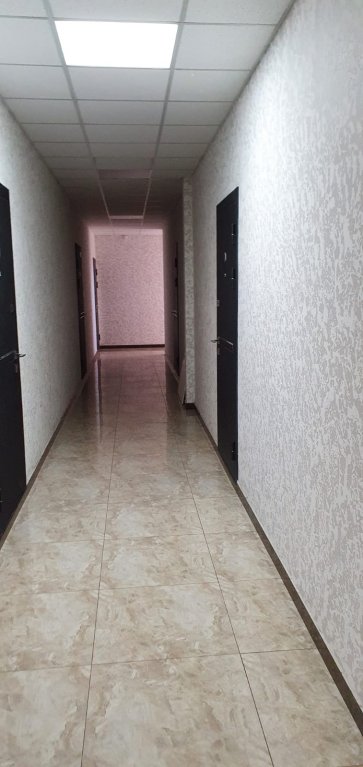 Сириус: Квартира в Сириусе