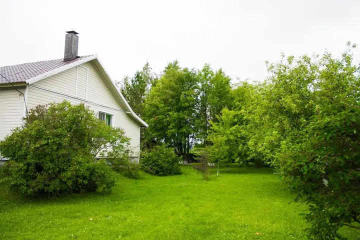 Салми: Cottage Novak