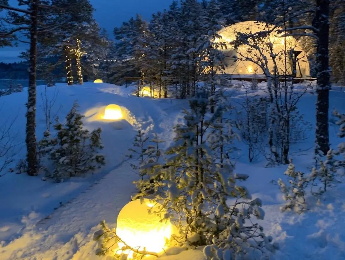Сортавала: Глэмпинг Lago Ladoga