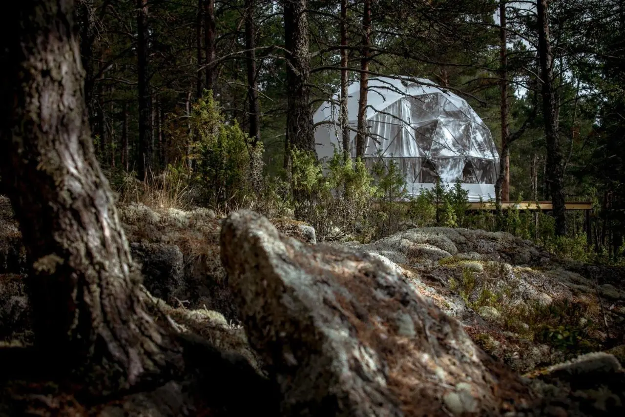 Сортавала: Глэмпинг Lago Ladoga