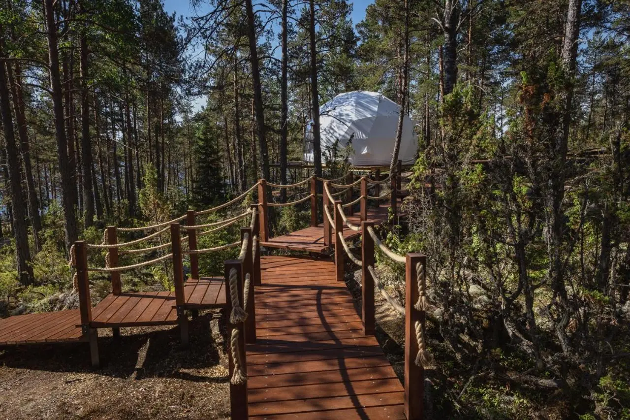 Сортавала: Глэмпинг Lago Ladoga
