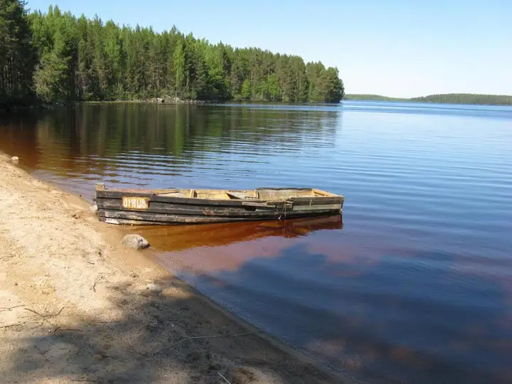 Суоярви: Отель Лесной отель Вегарус