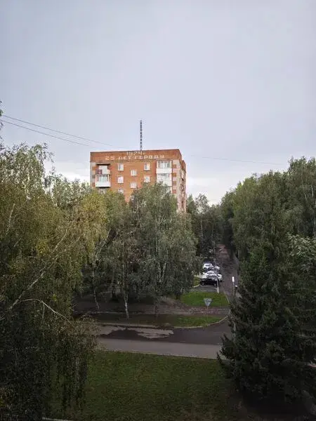 Юрга: Калина на ул. Московская, д. 41