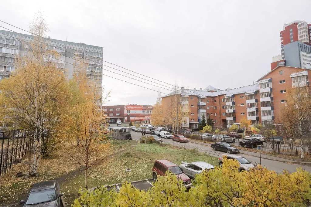 Петрозаводск: 9 Ночей на улице Чкалова