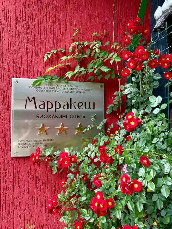 Сочи: Курортный отель Биохакинг Отель Марракеш