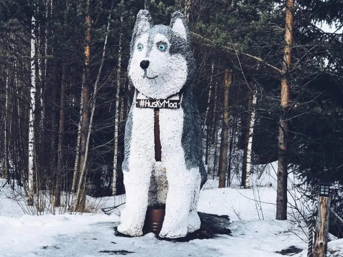 Поселок Матросы: Гостевой дом Husky Moa