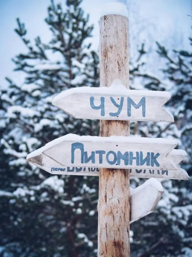 Поселок Матросы: Гостевой дом Husky Moa