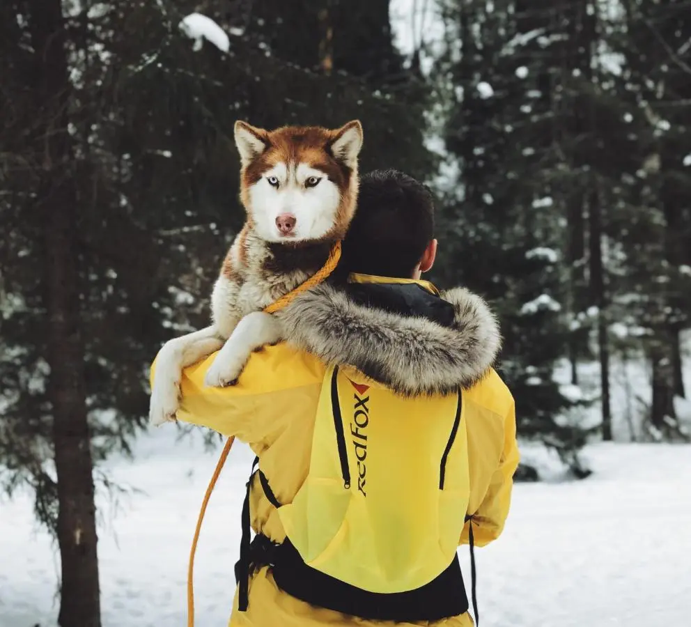 Поселок Матросы: Гостевой дом Husky Moa