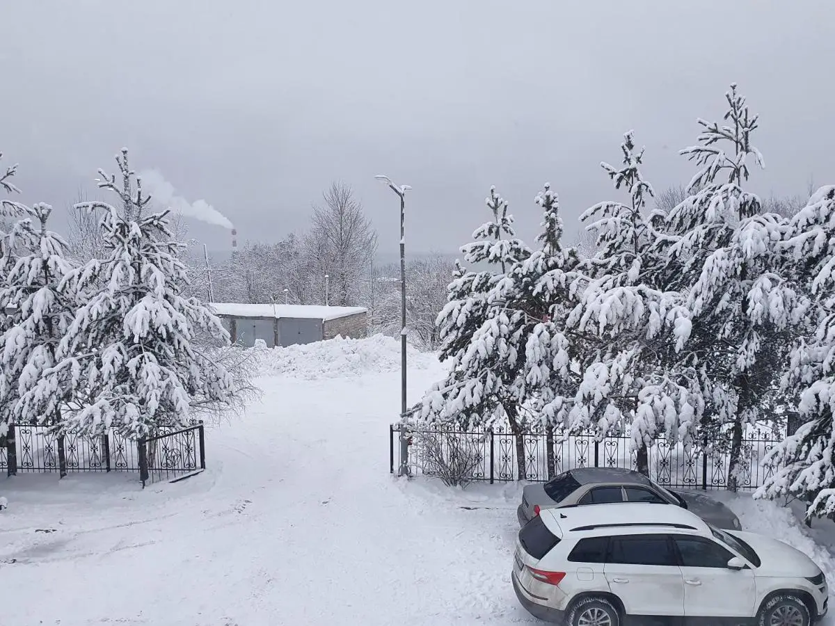 Петрозаводск: Guesthouse Vernisage