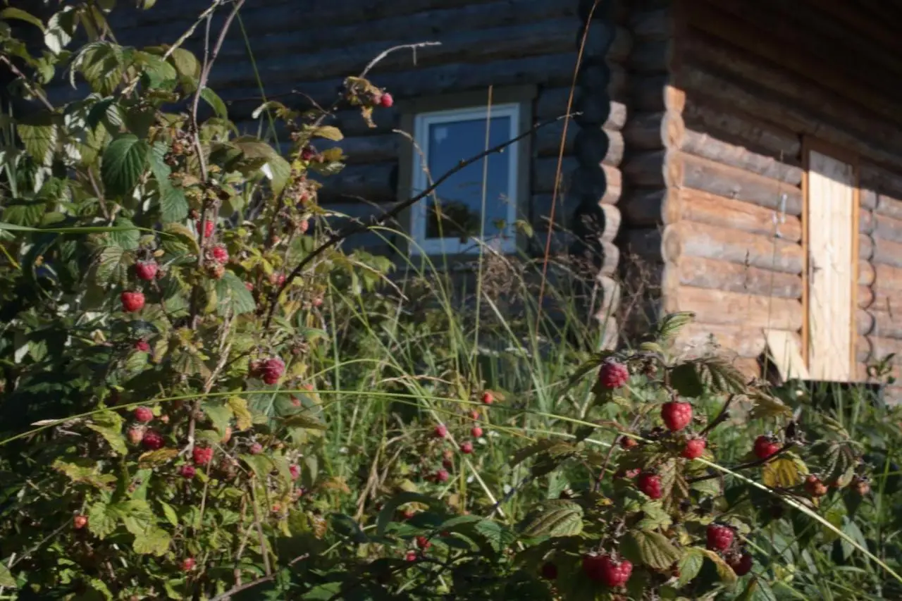 Типиницы: Guest House Za Onegu