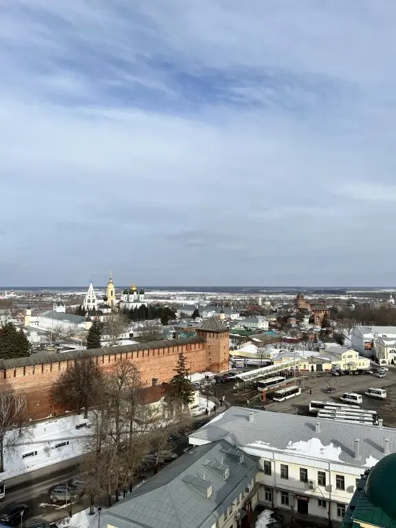 Коломна: Гостевой дом Гнездо