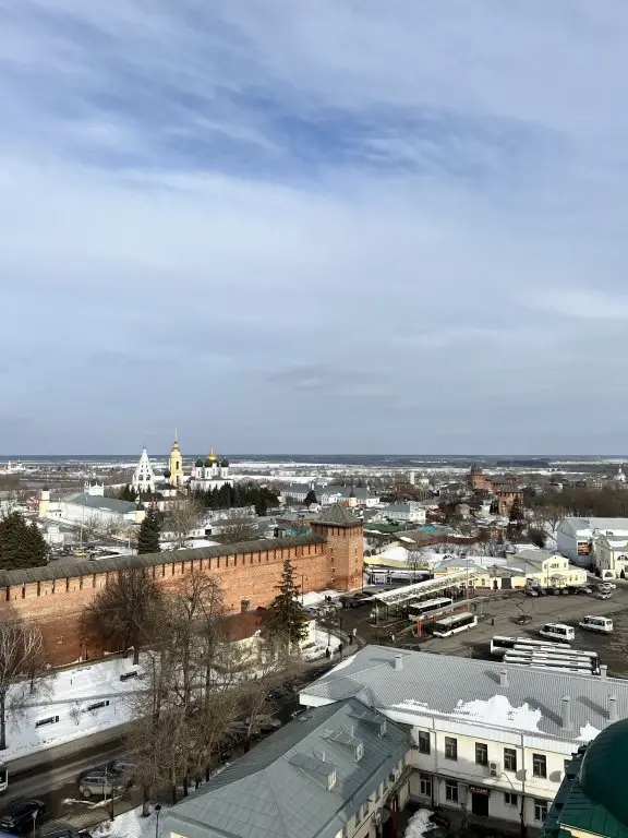 Коломна: Гостевой дом Гнездо