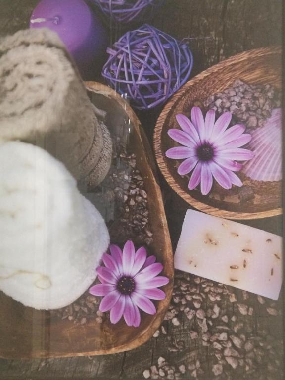 Петрозаводск: Апартаменты on Chapaeva Ecostil