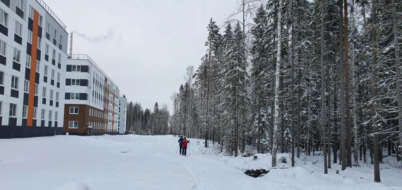 Петрозаводск: Apartment Forest House