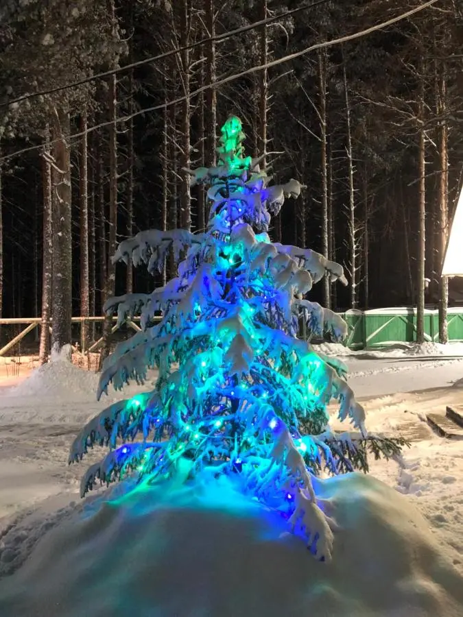 Кондопога: Гостевой дом в Дачном переулке в Сяпсе