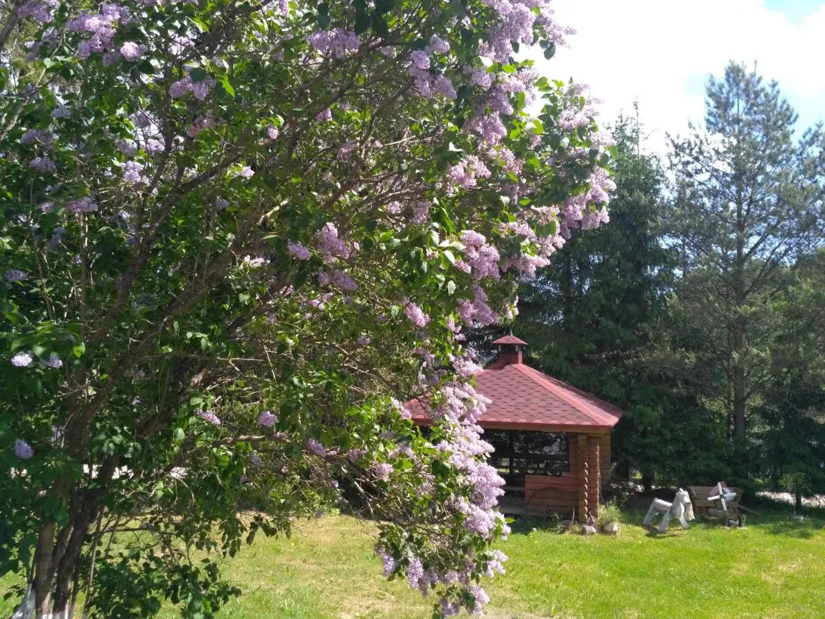 Усть-Видлица: Cottege "Ostrov Mieiieri"