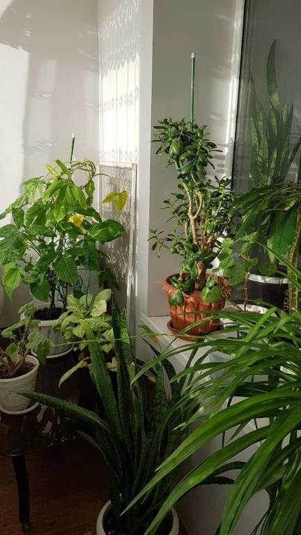 Петропавловск: Apartamenty na SOVETSKOJ 39