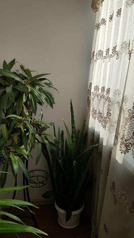 Петропавловск: Apartamenty na SOVETSKOJ 39
