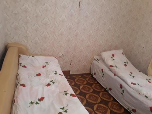 Шымкент: Lady Hostel