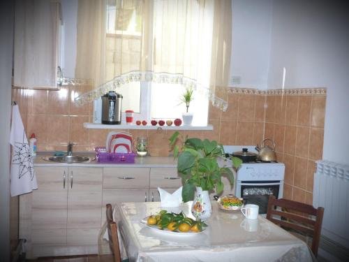 Шымкент: Eco Hostel