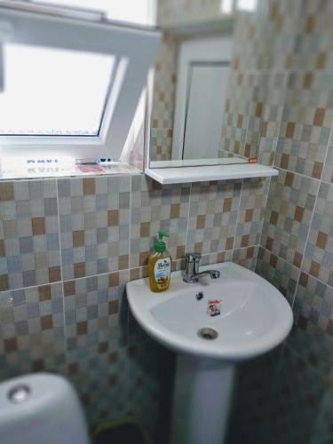 Шымкент: Eco Hostel