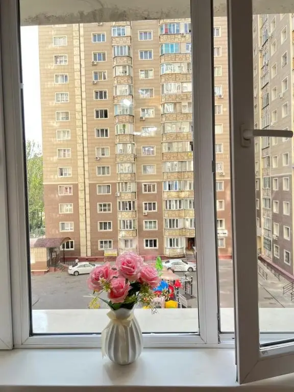 Алматы: Tole bi Tay apartment 1 room near MEGA Alma Ata