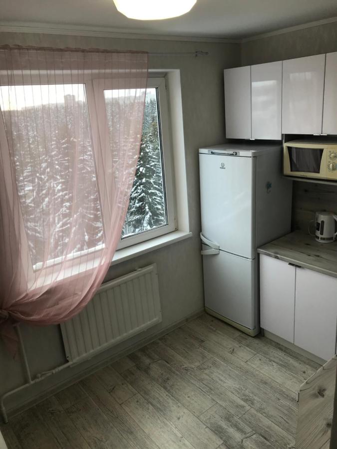 Петрозаводск: Апартаменты на Чапаева